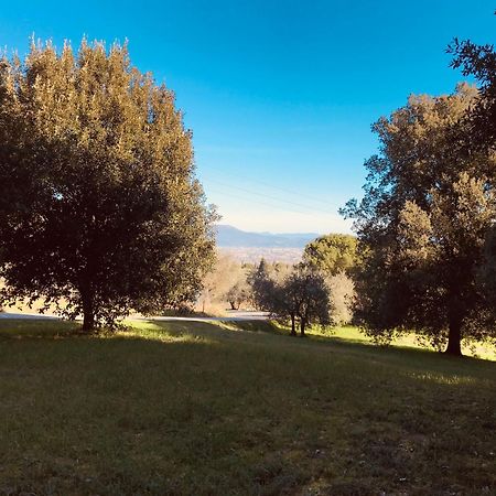 La Residenza Dei Piaceri Perduti- Le Volte Appartement Lastra a Signa Buitenkant foto