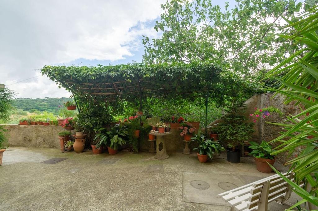 La Residenza Dei Piaceri Perduti- Le Volte Appartement Lastra a Signa Buitenkant foto